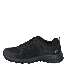 Explore Wp Black/magnet